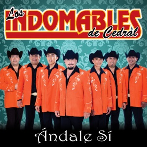 Ándale Sí