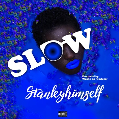 Slow - Single