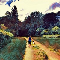 2 Much - Single - Ro Dolla