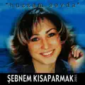 Mor salkımlı sokak