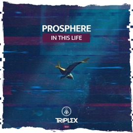 In This Life Prosphere