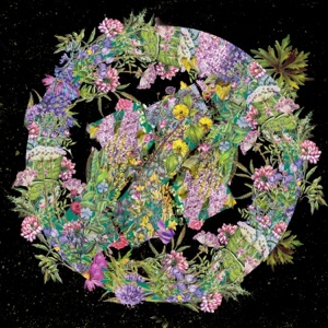 Flowers - Single