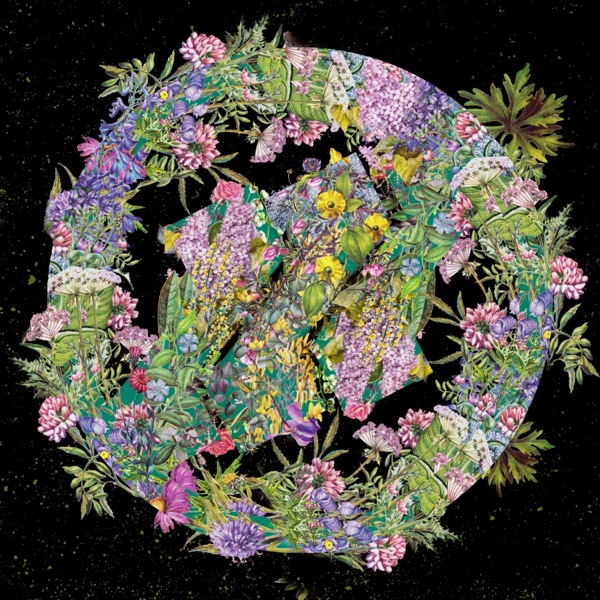 Flowers - Single