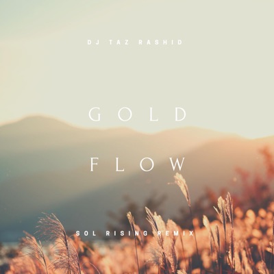 Gold Flow (Sol Rising Remix) - Single