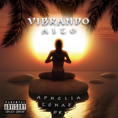 Vibrando Alto (feat. Aphelia & Tenaz) - Single
