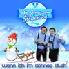 Die Jungs vom Bodensee - Wenn ich im Schnee steh'