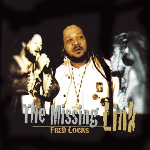 The Missing Link