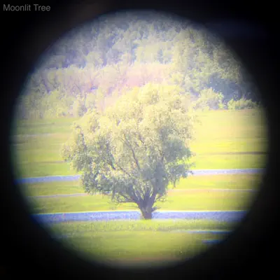 Écouter Moonlit Tree par Alabaster