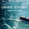 Ornate Textures - 4TVmusic