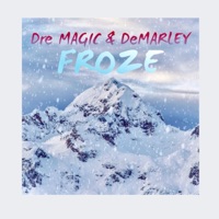Froze (feat. Demarley) - Single - Dre Magic