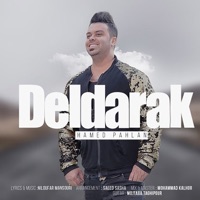 Deldarak - Single - Hamed Pahlan