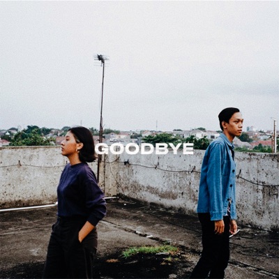 Goodbye - Single