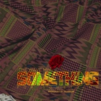 Something for Something (feat. Tuntu) - Single - The Wave MW
