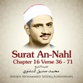 Surat An-Nahl , Chapter 16 Verse 36 - 71 artwork
