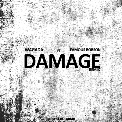 Damage (feat. Famous Bobson) [Remix] - Single