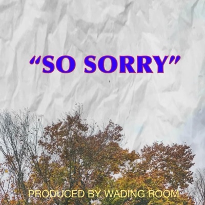 So Sorry - Single