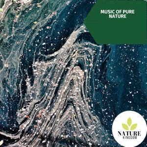 Music of Pure Nature