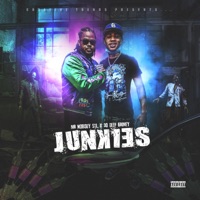 Junkies (feat. 30 Deep Grimeyy) - Single - Mr. Nobody Stl