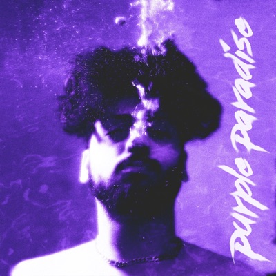Purple Paradise (OG Version) - Single