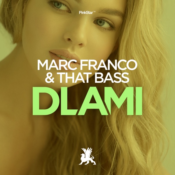 DLAMI - Single