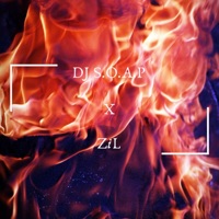 The DJ S.O.A.P. Hype Check (feat. DJ S.O.A.P.) - Single - ZiL