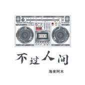 不过人间 (DJ沈念版) artwork