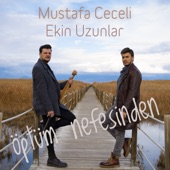 Öptüm Nefesinden artwork