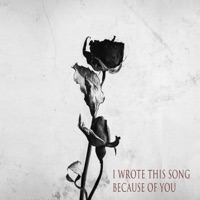 I Wrote This Song Because of You - Single - Mell Omii