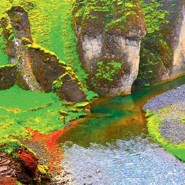 Rainforest - EP