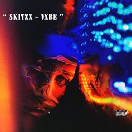 Vxbe Skitzx