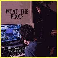 What the Prog (feat. Nictofilia) - Single - Boris Gallo