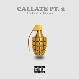 Callate, Pt. 2 (feat. Rismo) Sickad