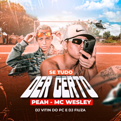 Se Tudo Der Certo - Single