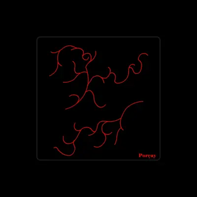 Listen to Porçay, watch music videos, read bio, see tour dates & more!