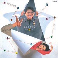 Album cover for Nantettatte Idol by koizumi kyoko