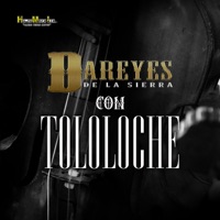 Con Tololoche - Dareyes de la Sierra