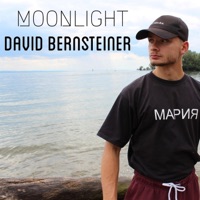 Moonlight - Single - David Bernsteiner