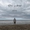 Vino y Sal - Stepansky lyrics