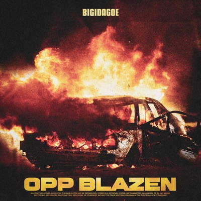 Opp Blazen - Single