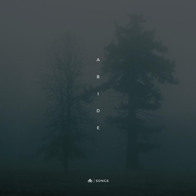 Abide - Single