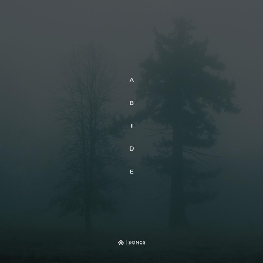 Artwork for Abide