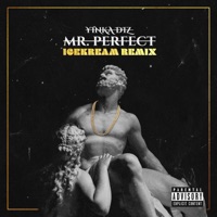 Mr.Perfect (feat. Yinka Diz) [Remix] - Single - icekream