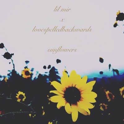 Sunflowers (feat. Lovespelledbackwards) - Single