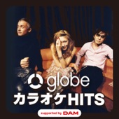 globe カラオケ HITS supported by DAM artwork