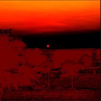 Icarus - Single - Tangerine Overload