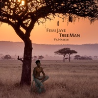 Tree Man (feat. A.BEEB) - Single - Femi Jaye