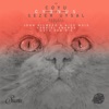 Cygnus (John Digweed & Nick Muir Remix) cover art