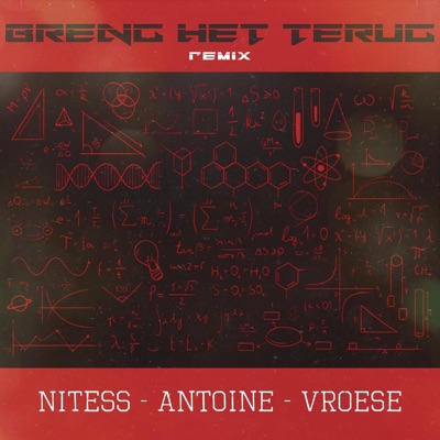 Breng Het Terug (feat. Ant0ine & Vroese) [Remix] - Single