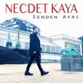 Serçeşme