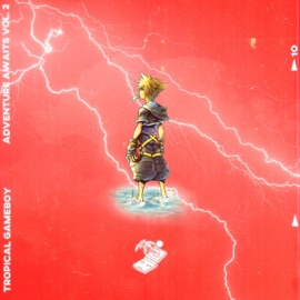 Too Late For Me Tropical Gameboy